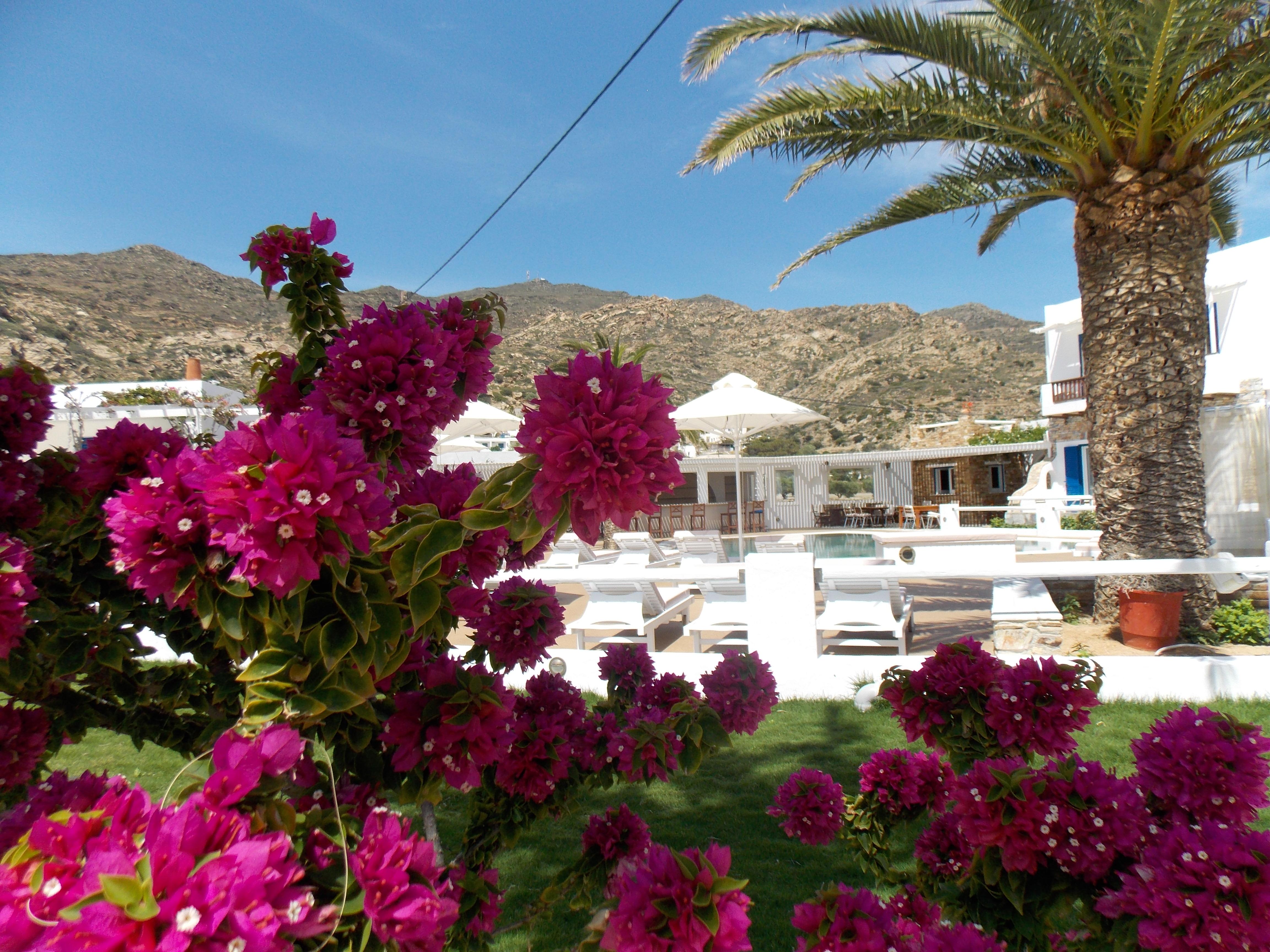Hotel Aegeon Mylopotas Extérieur photo